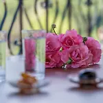 House Of Gardenia *