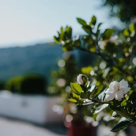 Holiday home House Of Gardenia Makrirrakhi