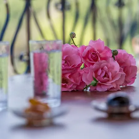 House Of Gardenia *