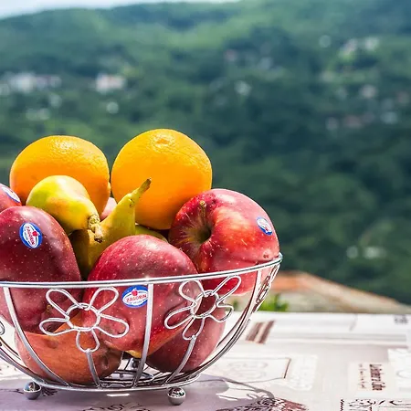 House Of Gardenia * Makrirrákhi