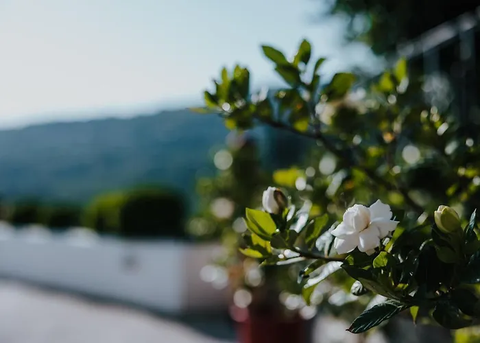 Holiday home House Of Gardenia Makrirrakhi